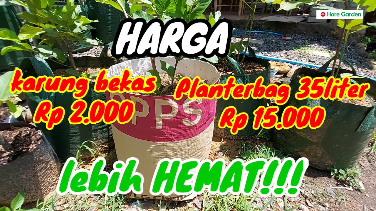 Memanfaatkan Karung Bekas Untuk Tabulampot