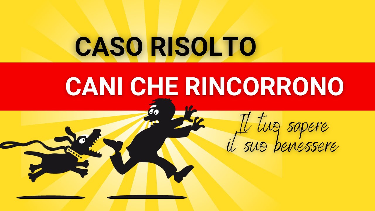 Cani che rincorrono cose e persone - il mio cane parla - Mirko Darar