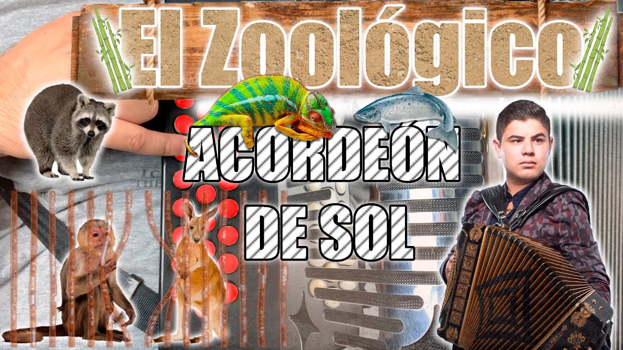 #TUTORIAL El Zoológico // Acordeón de Sol // Con Arreglos (FACIL)