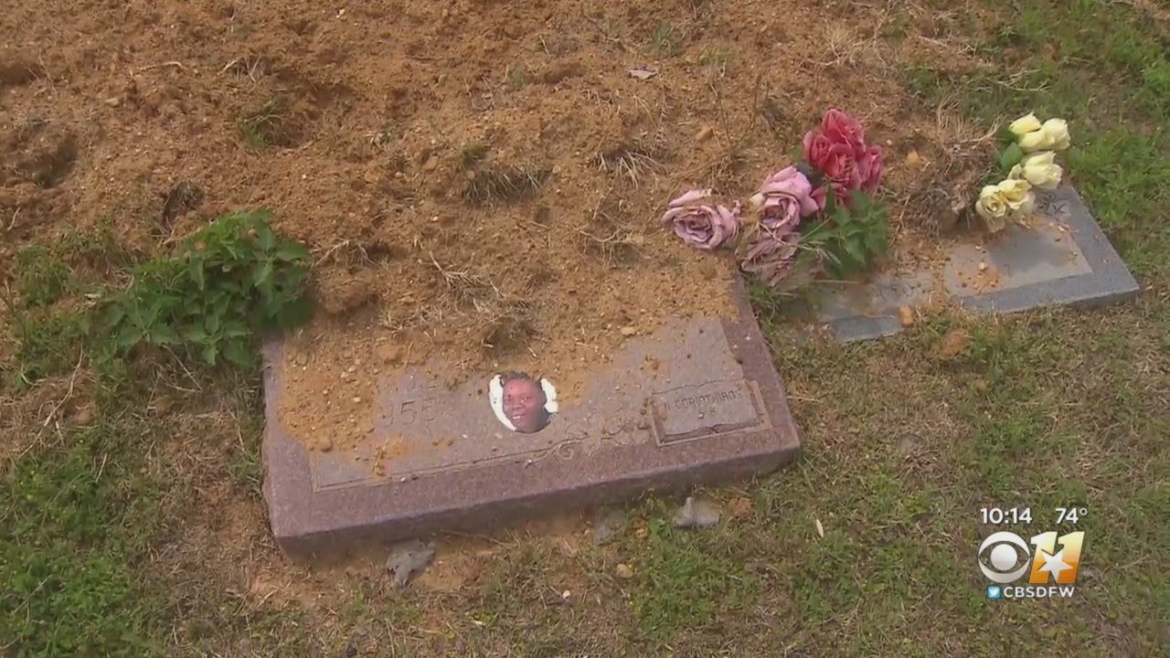 Wild Hogs Becoming Major Nuisance, Desecrating Dallas Cemetery