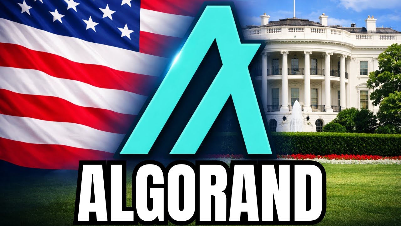 Why ALGORAND Moved Back to America - You Wont Believe What They Just Did 