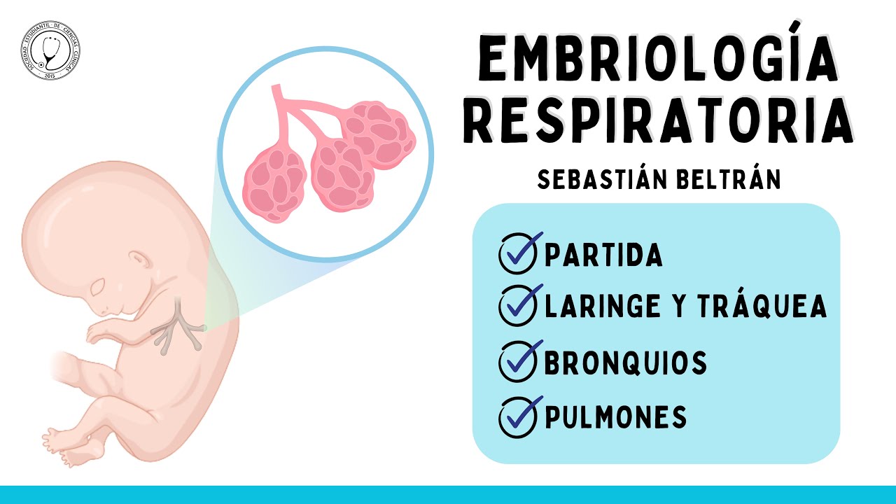 EMBRIOLOGÍA DEL APARATO RESPIRATORIO | SISTEMA RESPIRATORIO