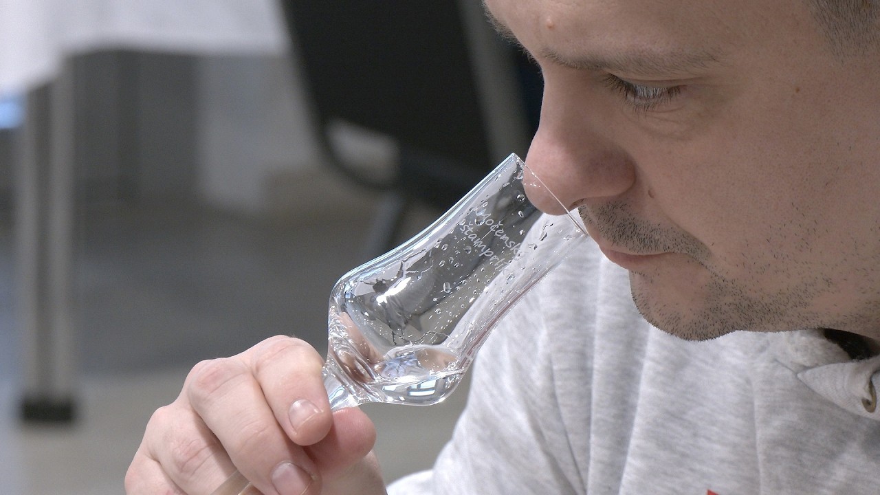 VIII. ročník Močenského štamprlíka