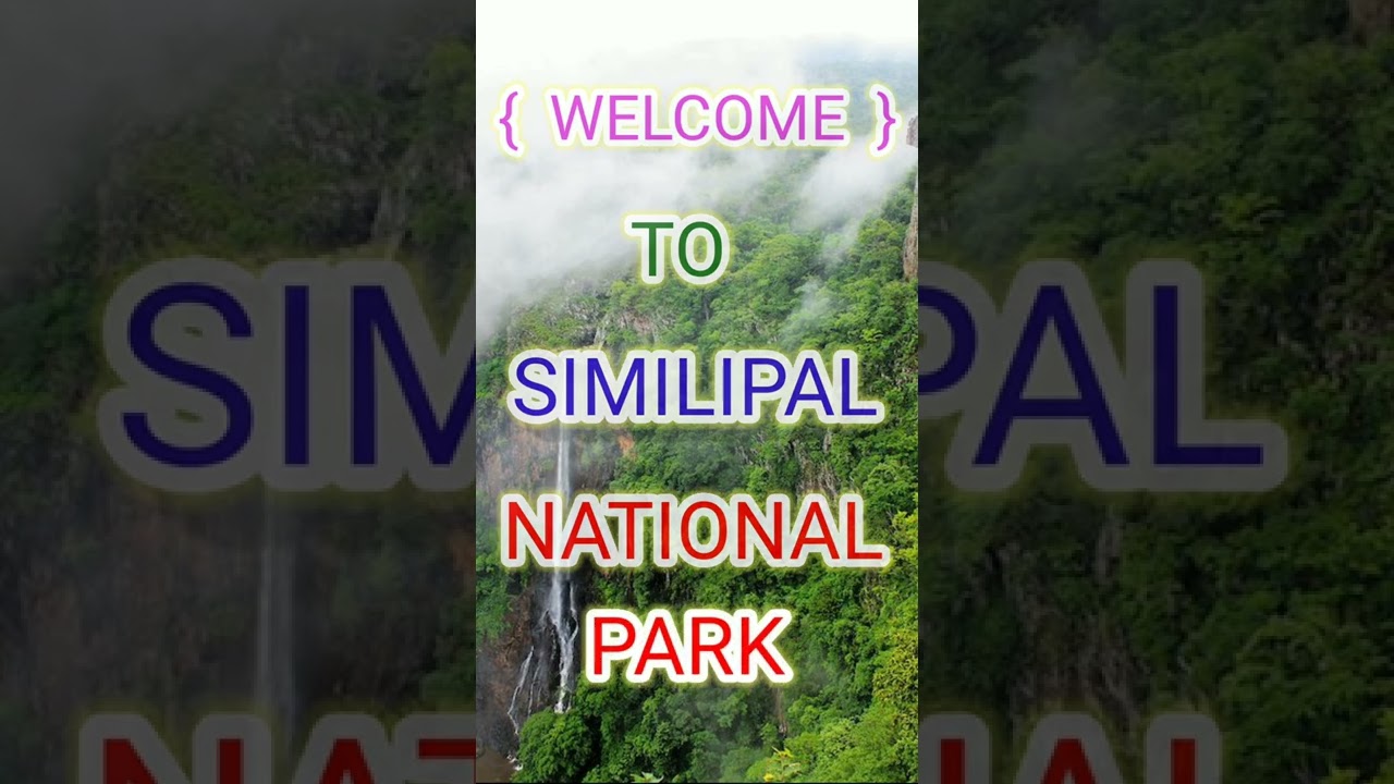 Similipal Entry Time #shorts #similipal #Nationalpark | Similipal Tourist Information