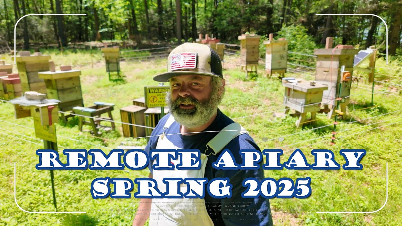 Remote Apiary Management: Queen Check & String Trimming