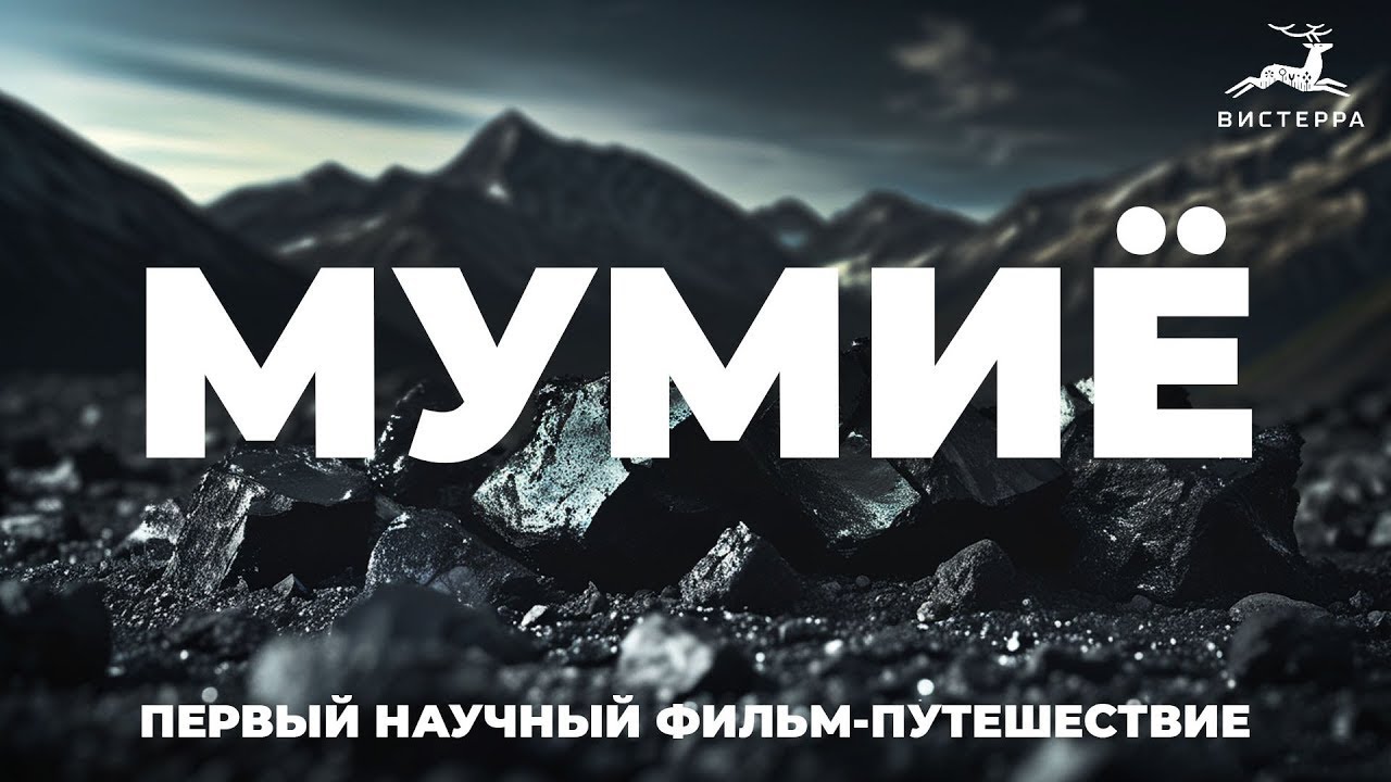 МУМИЁ: история, мифы, научный взгляд и разбор продуктов. Единственный фильм со всей информацией