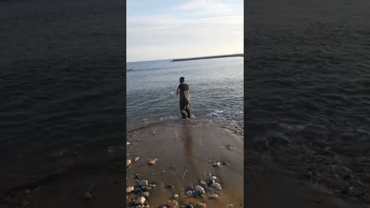 serpme ile denizde balik avı