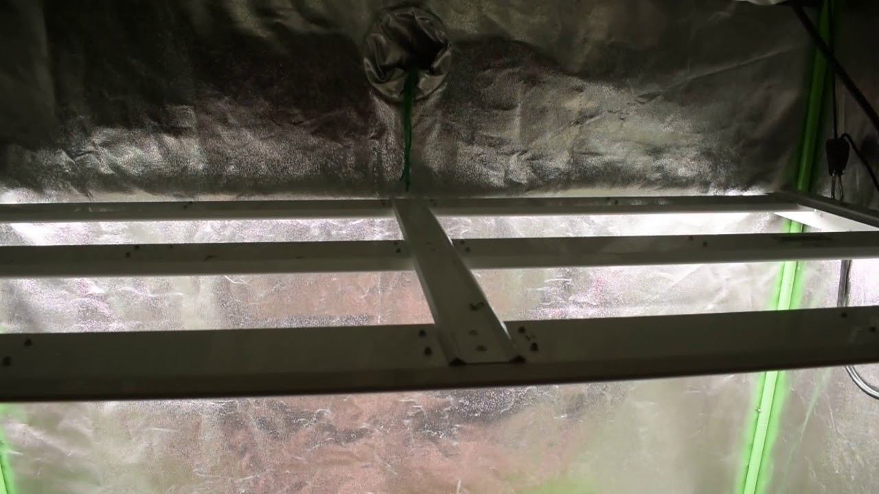 db003 VIVIDGRO GrowMax 240w 4k led super soil (second grow) video grow update #1