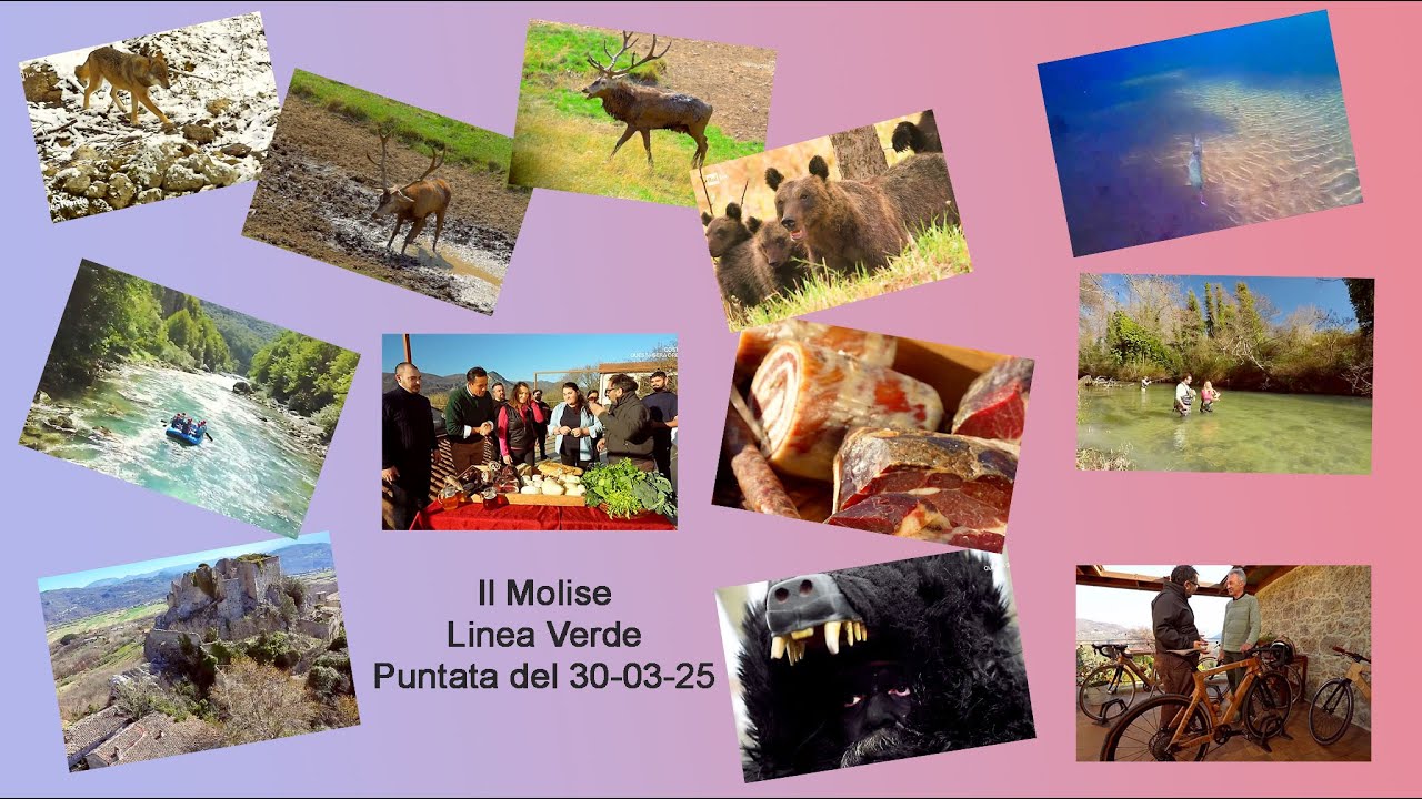Il Molise_Linea_Verde_RAI1_ P. 300325