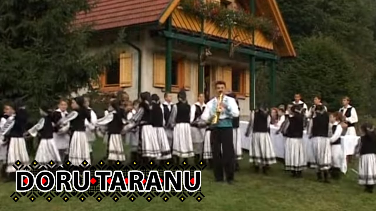 Doru Taranu - Doiuri de la Caransebes