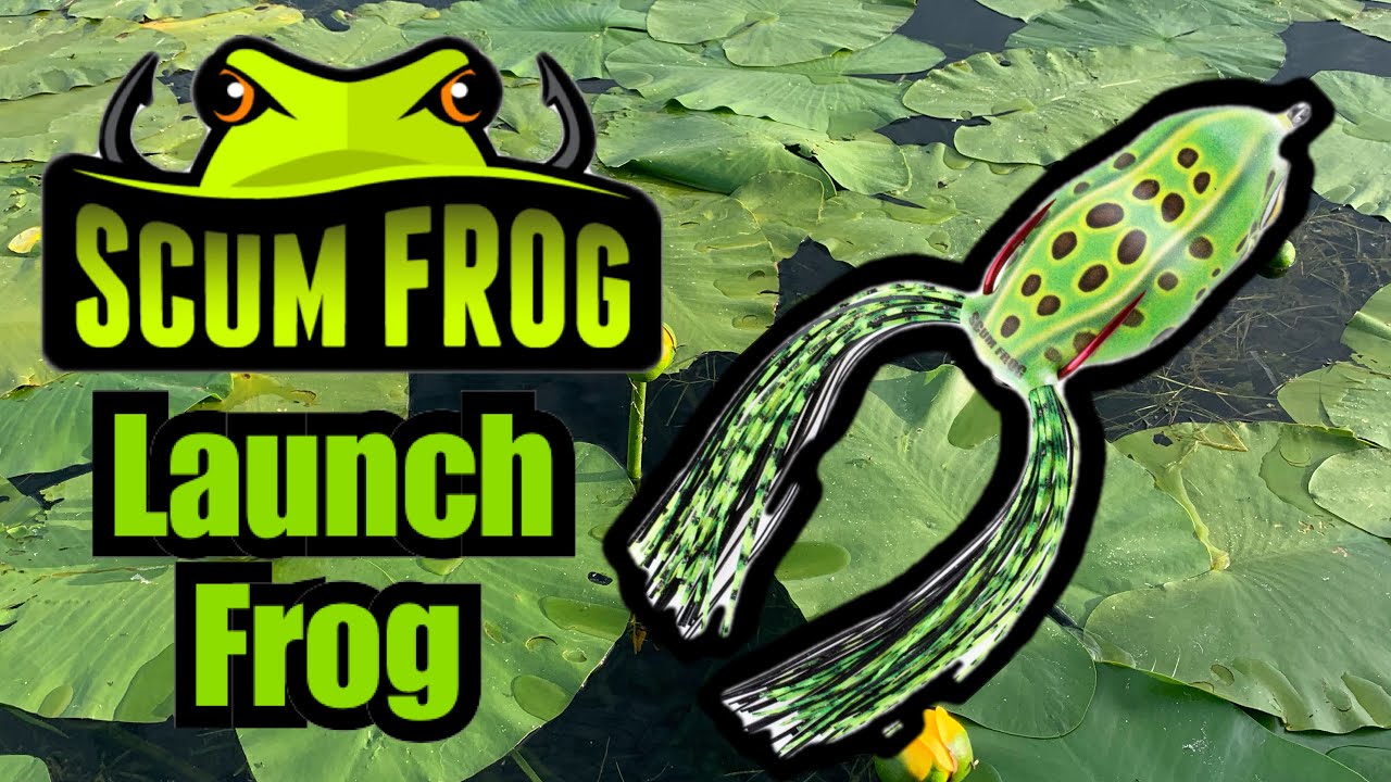 Scum Frog Launch Frog