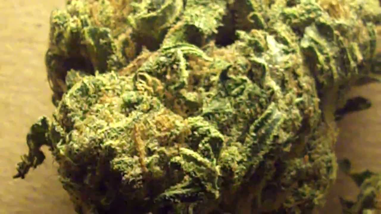 Ep 372 Grape Crush 1080p Strain Review Hd Medical Marijuana weed pot bud crystals