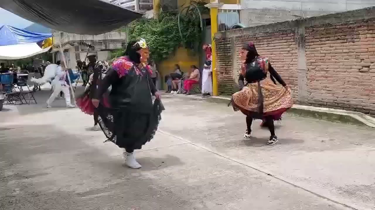 MUDITAS, CHIVOS Y MECOS AZULES | ACATLÁN GRO 