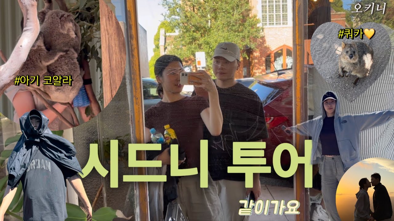 투어로 시작하는 시드니 신혼여행💛 잊지못하는 순간들ㅣ페더데일, 블루마운틴, 선셋포인트