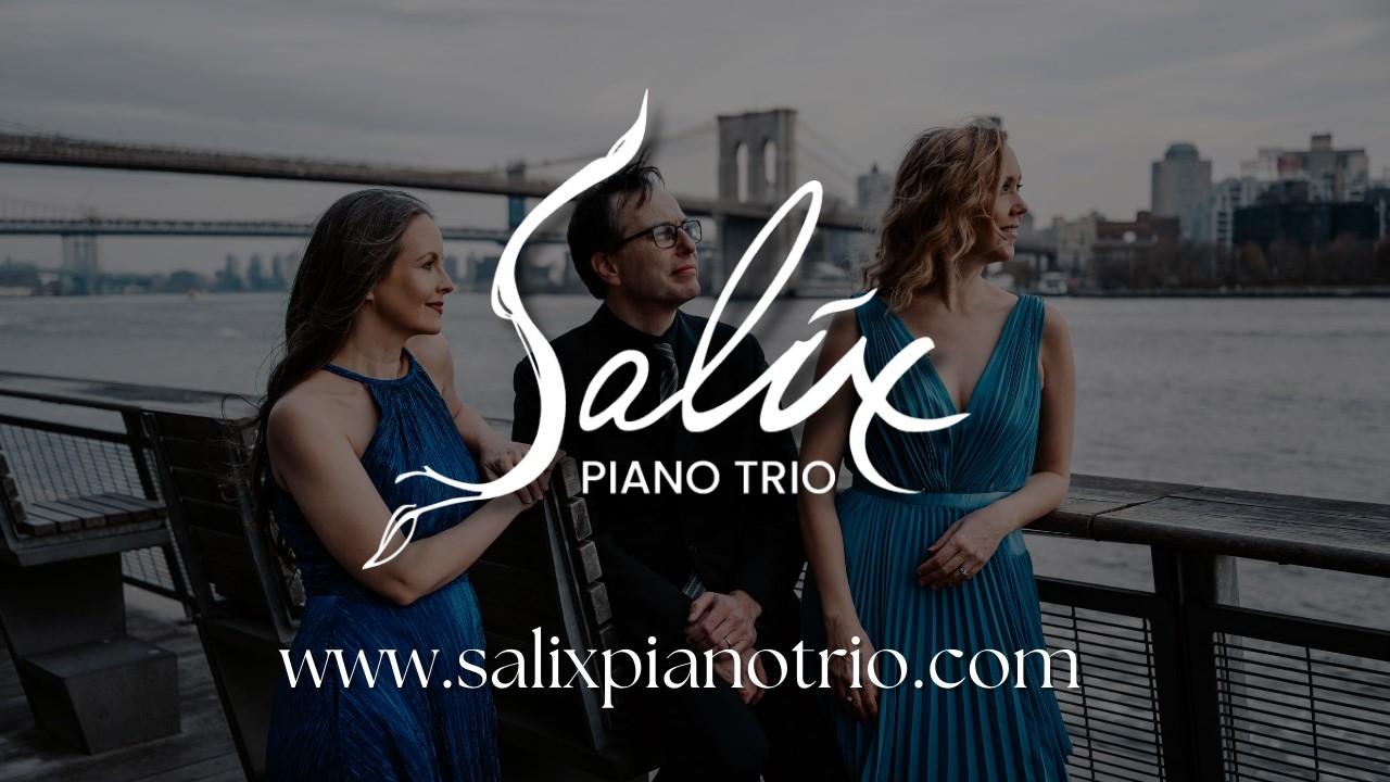 Salix Piano Trio - Promo Video