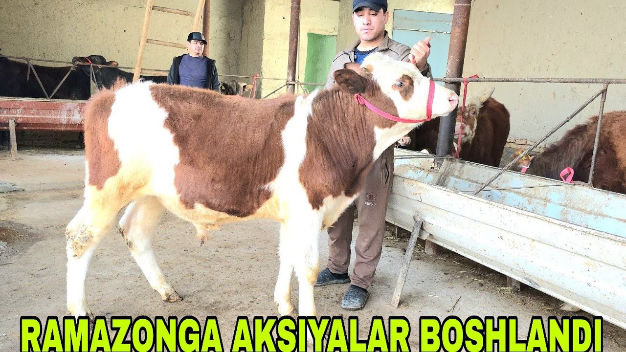 Azizbek va Boburjondan Ramazonni 1 chi kuni uchun aksiyalar boshlandi 19-fevral, 2026