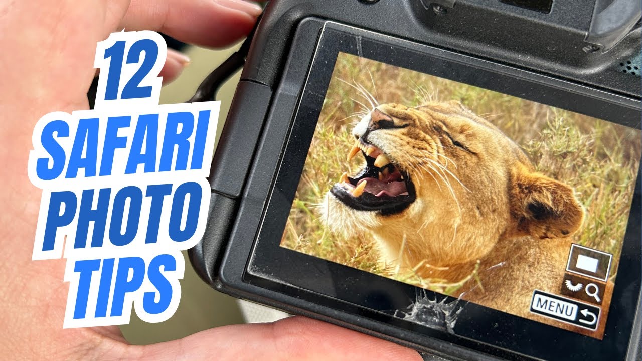 12 лучших советов по фотосъемке в сафари