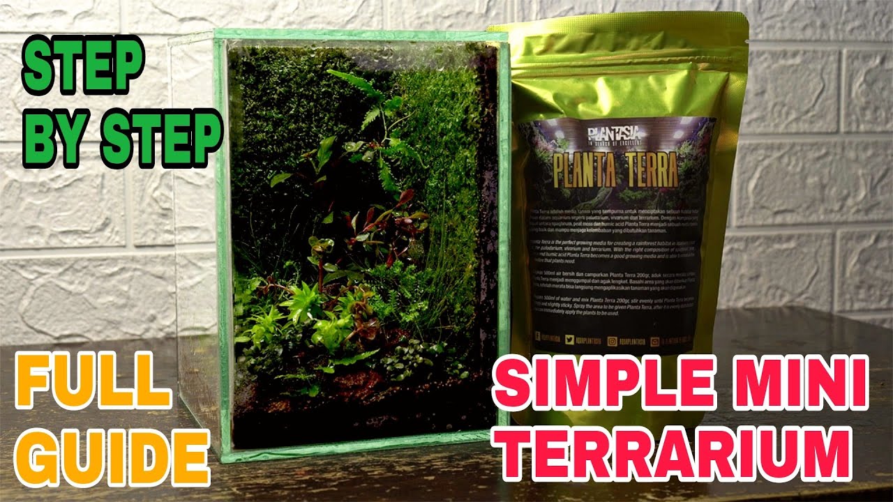 ‼️Mini Terrarium ❗Step by step Tutorial