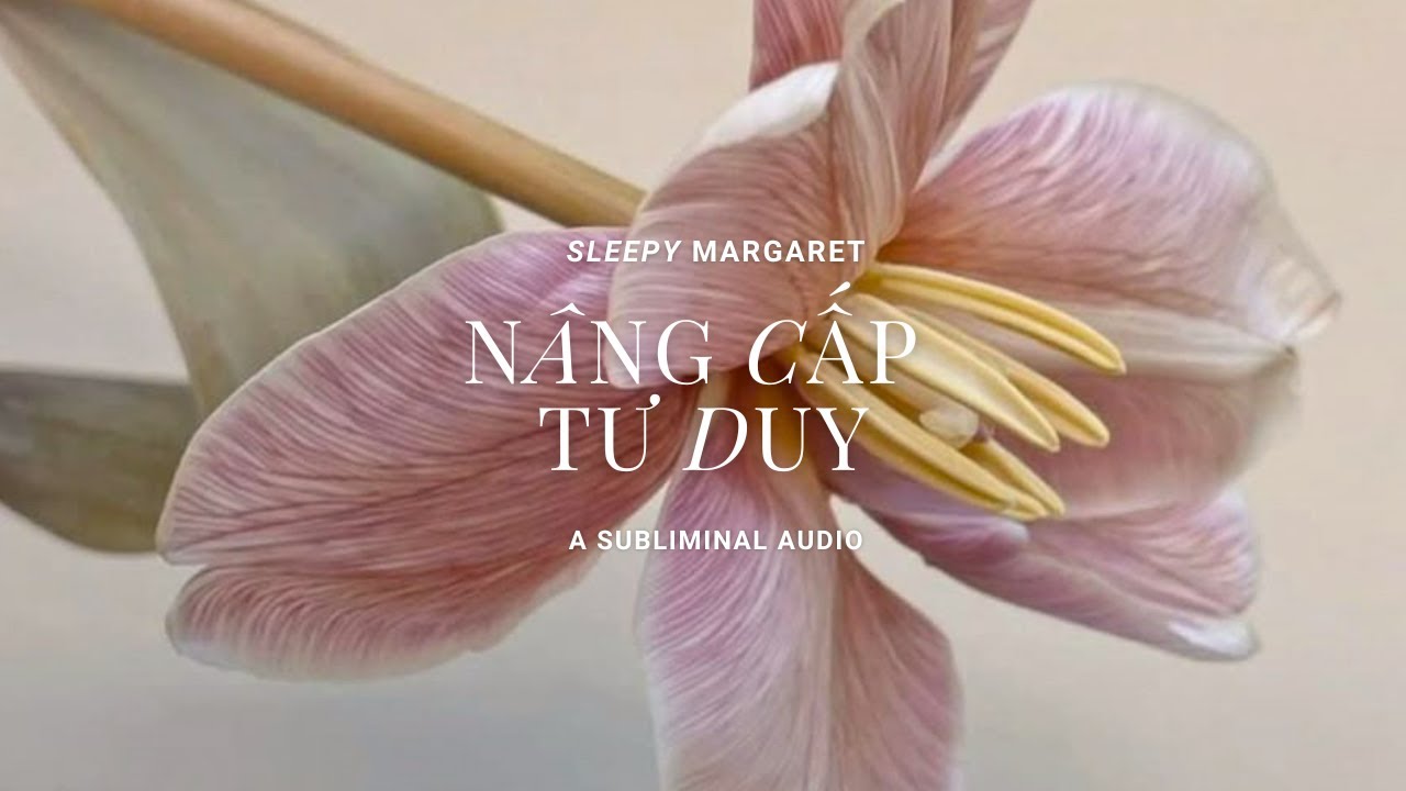 mindset ✶ nâng cấp tư duy