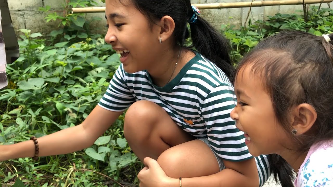 Vlog Memberi Pakan Bebek Shinta dan Shanti