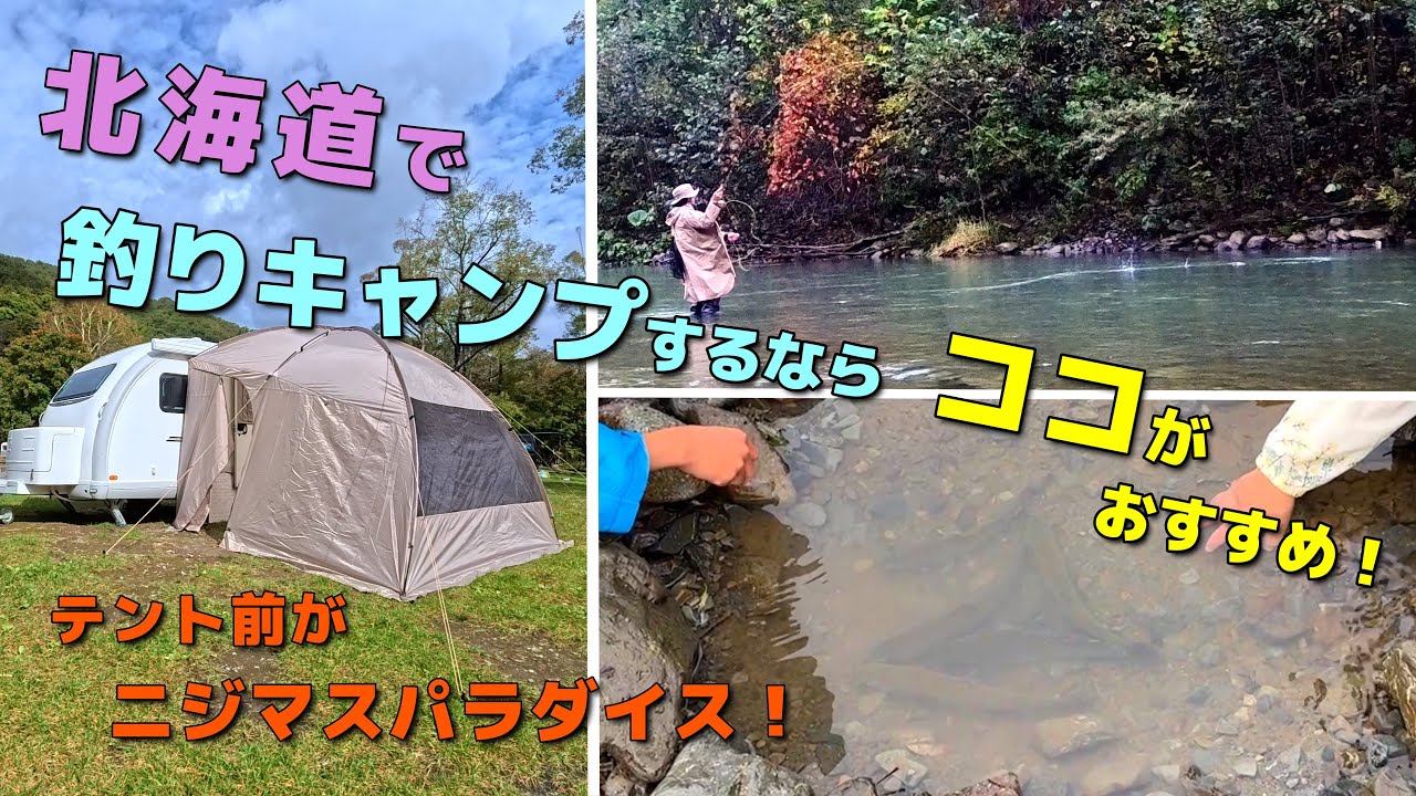 テント前で渓流釣り！ニジマス爆釣で子供たち大興奮！【北海道】札内川園地キャンプ場で自然に癒される釣りキャンプ。