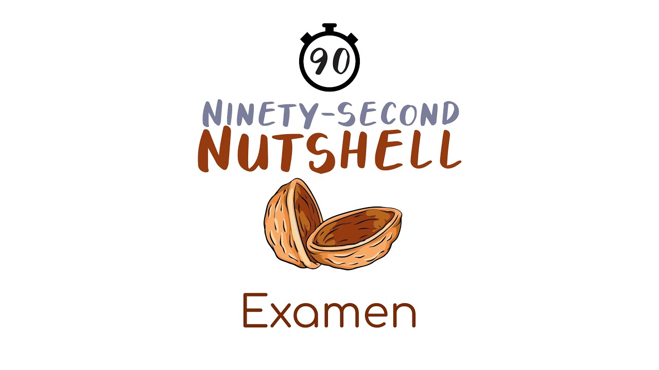 The Examen: The Ninety Second Nutshell