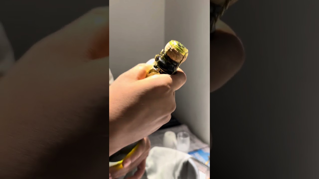 How to open champagne 🍾 bottle #viral #champagne #trendingshorts