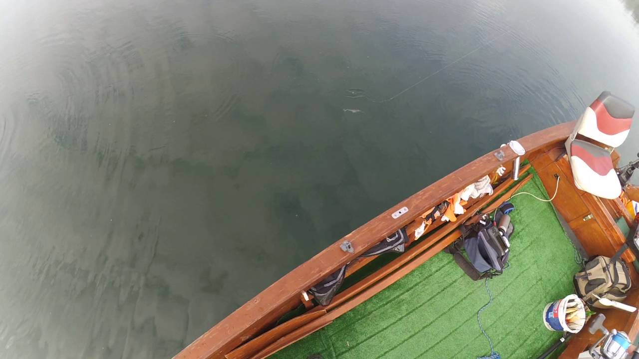MS Lures płoć realistic 11cm