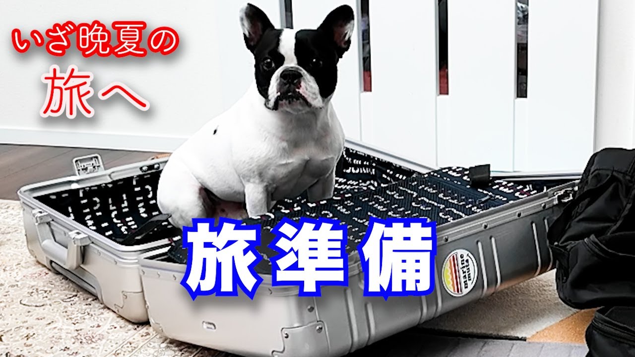 ラスト夏旅愛犬と準備！奇跡の変貌犬保育園最終日！！