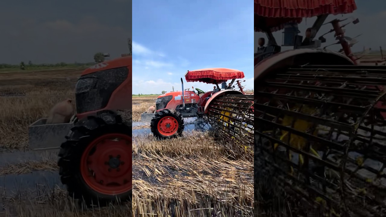 M&aacute;y C&agrave;y Tự L&aacute;y Hay  #m&aacute;yc&agrave;ymiềnt&acirc;ytv #agrimotor#tractor