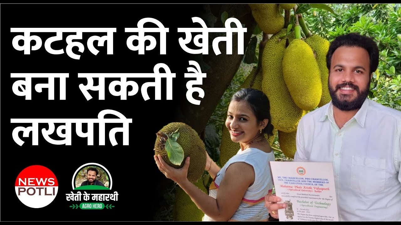 After Engineering joined father in Jackfruit farming now earns in lakhs per month || #kathal कटहल