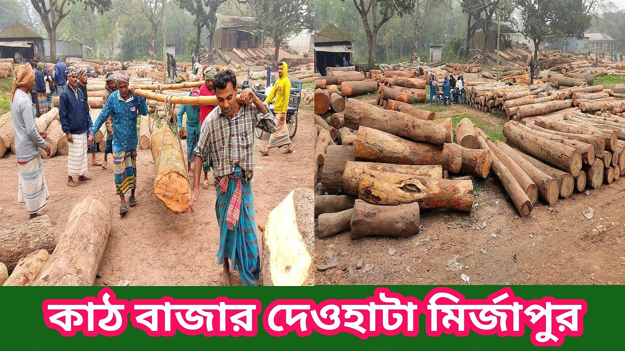 টাঙ্গাইল মির্জাপু্রের দেওহাটা কাঠ বাজার।Dewhata Wood Market @Manikganjprotidin