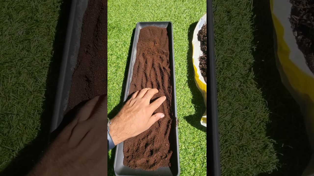 سماد تفل القهوة للنباتات
