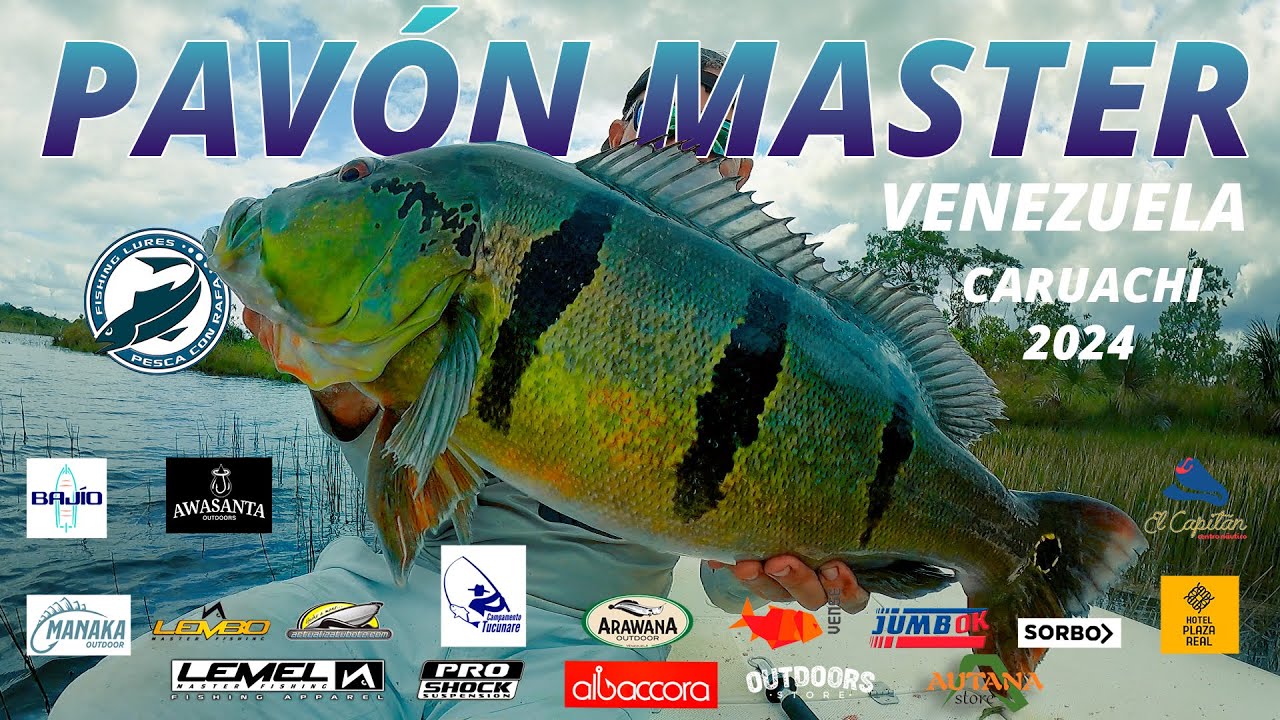 PAVÓN MASTER VENEZUELA / CARUACHI / 3ER LUGAR