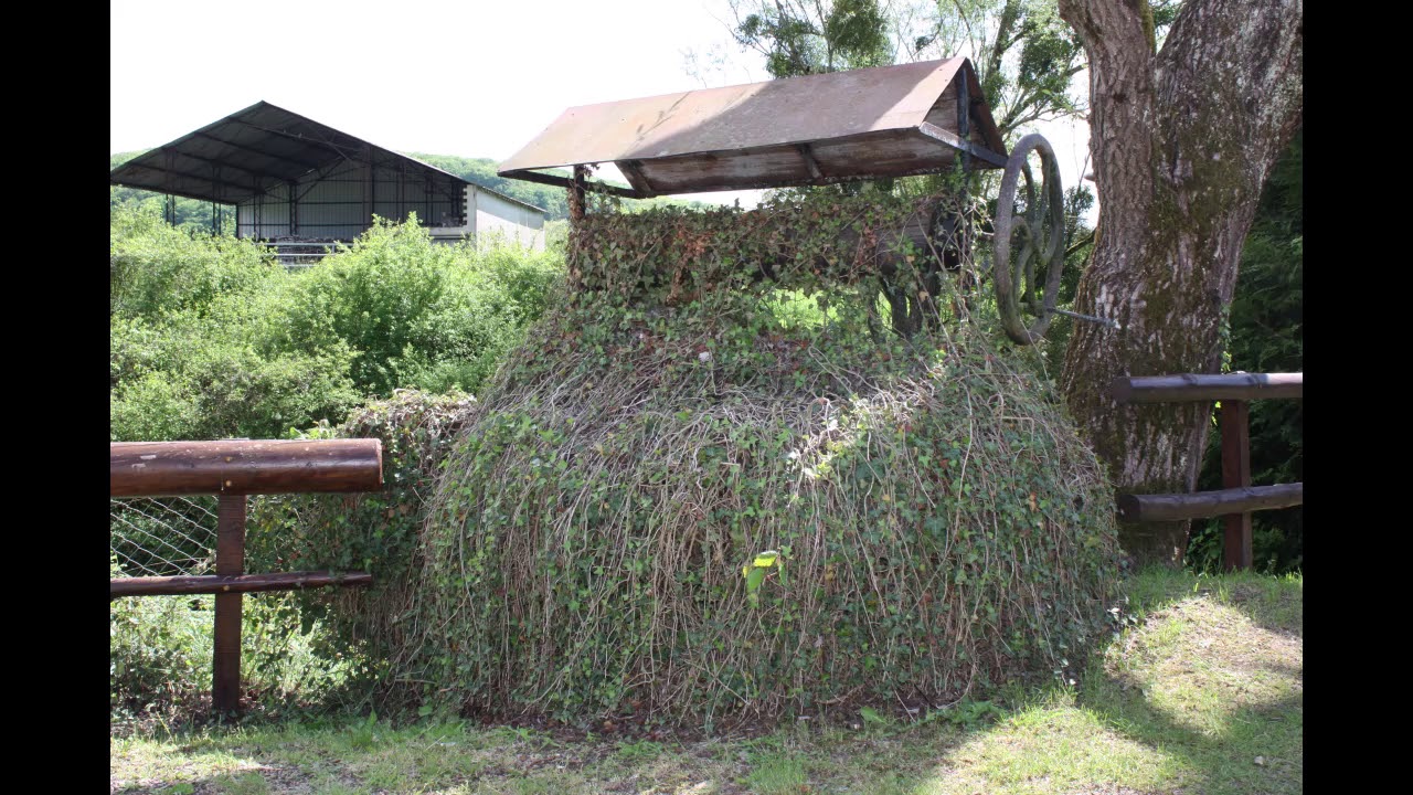 Visite de Prémery Taille moyenne