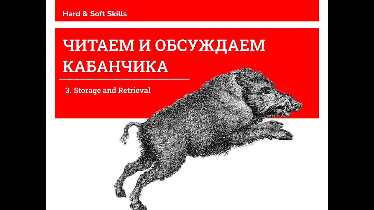 Читаем и обсуждаем Кабанчика, глава 3. Storage and Retrieval