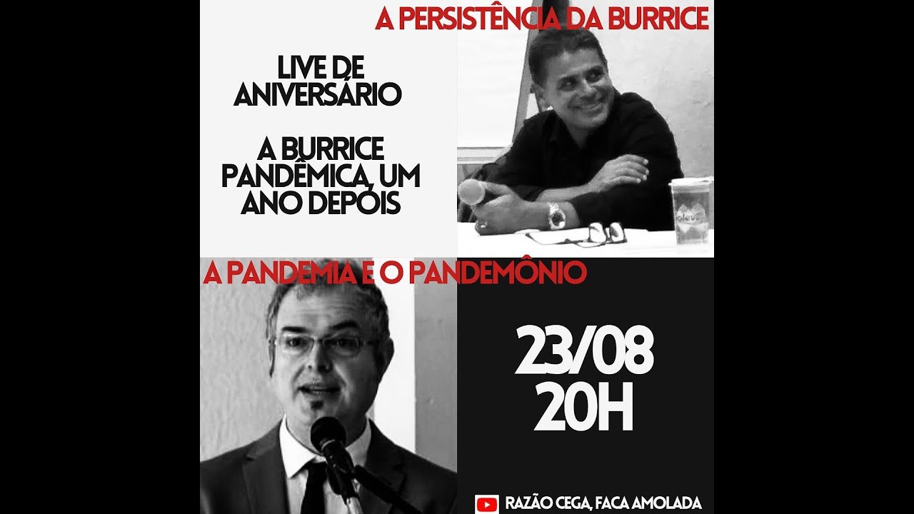 1 ano depois - A Burrice Pandêmica - A Persistência da Burrice e Pandemia e Pandemônio