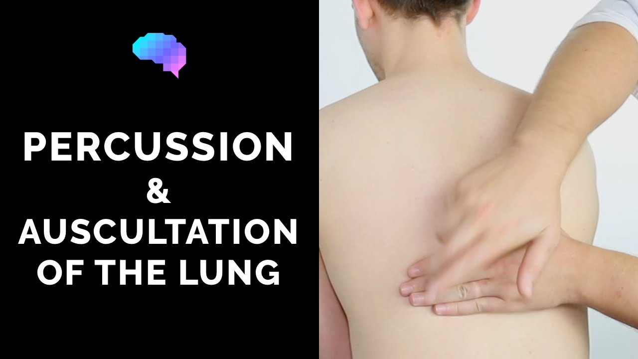 Перкуссия и аускультация лёгких — руководство ОБСЕ | Клип | UKMLA | CPSA | PLAB 2