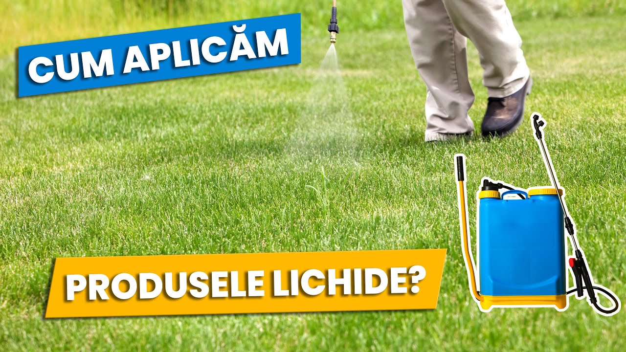 Fungicide, Erbicide, Insecticide, Fertilizanti lichizi pe gazon si plante