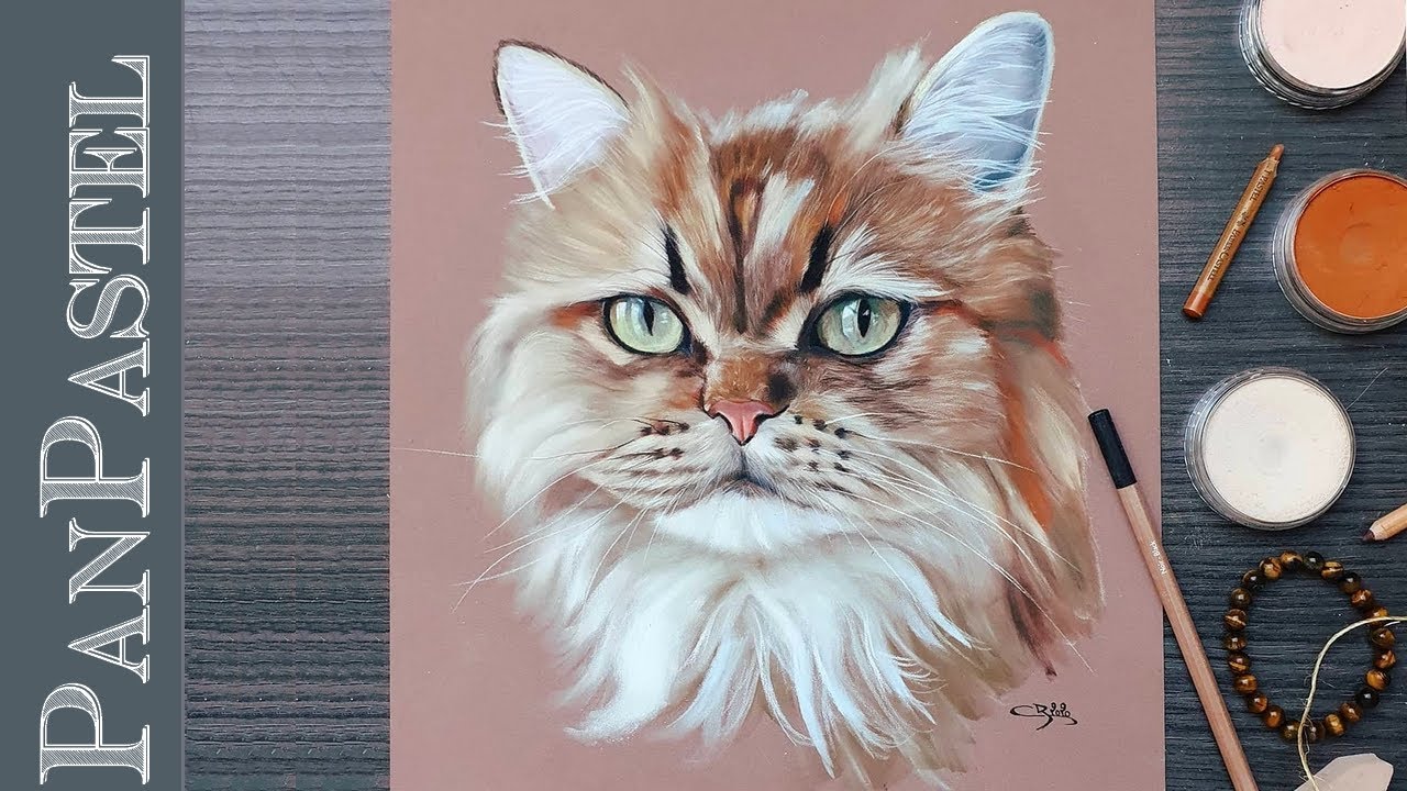 Présentation du cours de PanPastel Chat persan 😺