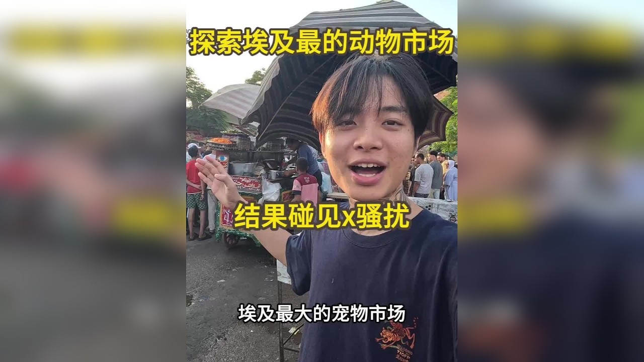 探索埃及最大的动物市场 结果碰见了x骚扰，结局太解气了