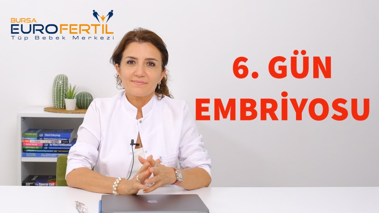 6. Gün Embriyosu, 6. Gün Embriyosu Ne Demektir? 6. Gün Blastokist#6.günembriyosu#blastokist