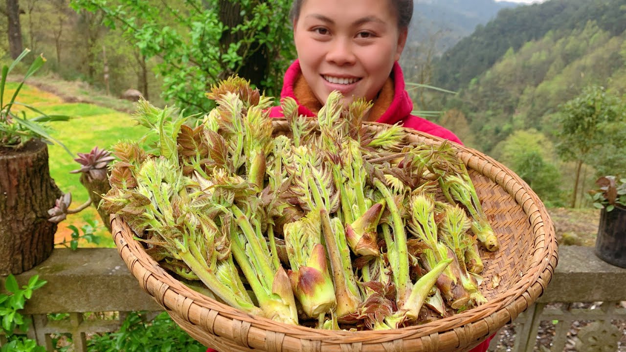 山裏很多刺嫩芽，今天摘了一堆回來炒肉，加碗辣椒很下飯你吃過嗎Today, I went into the mountain to look for wild vegetables