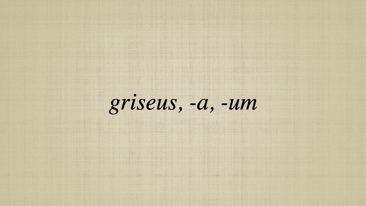 griseus,  a,  um