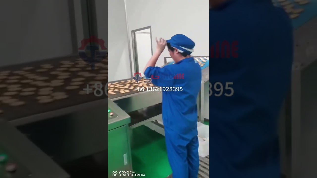 Fully automatic hard and soft biscuit production line 