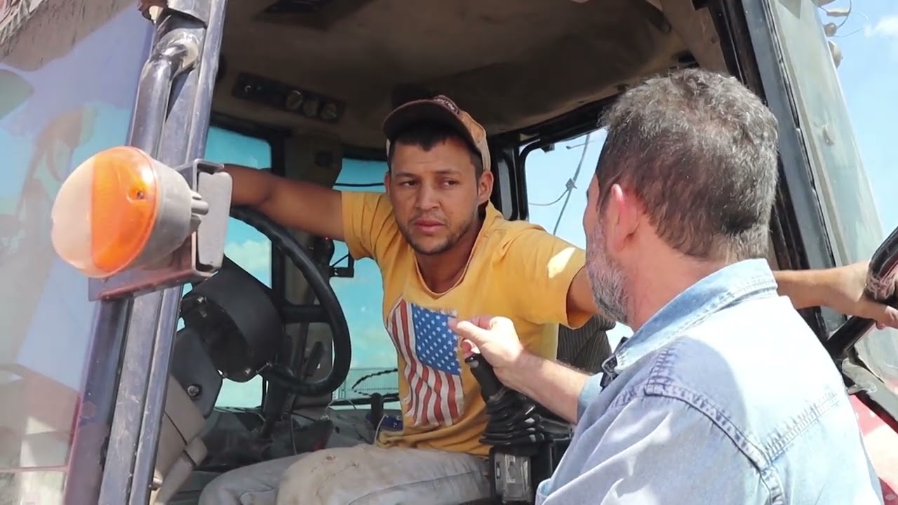 REPRISE: Produtor aposta em tecnologia e avança no cultivo de milho em Alagoas