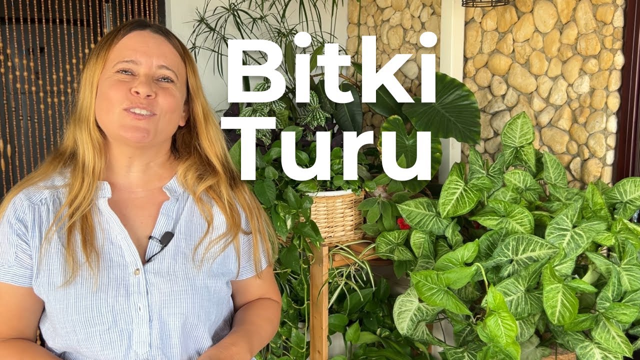 Ev Turu Özel: Ev İçi Bitki Turu ve Pratik Öneriler