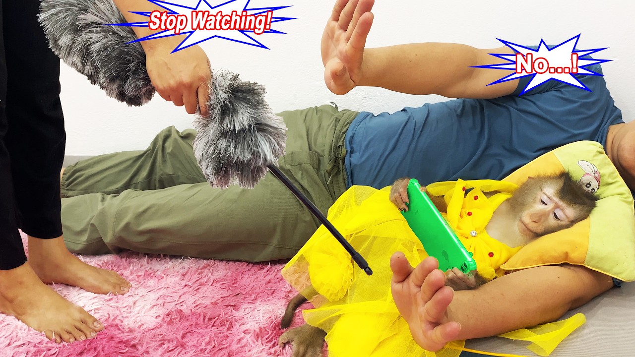Lyly the monkey was spoiled too much by the cameraman, leaving her mother helpless.