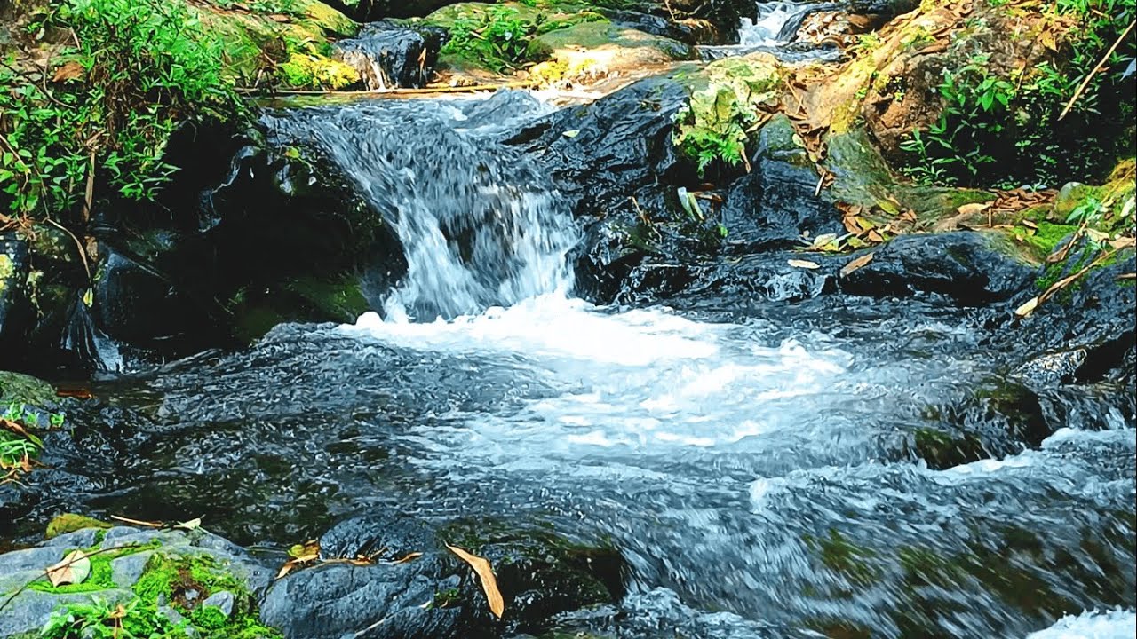 Relaxing Stream Waterfall Sounds Natural Water ASMR for Deep Sleep & Stress Relief