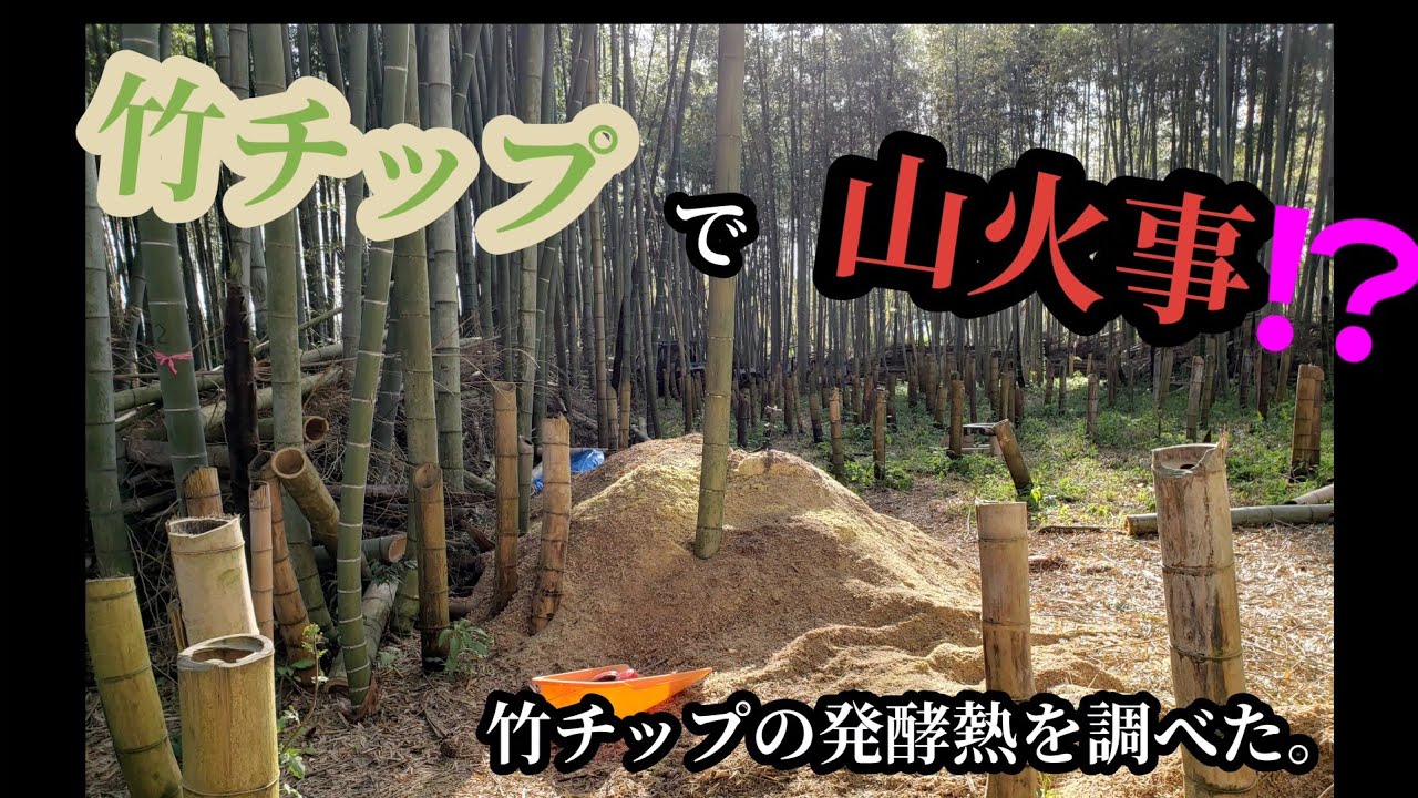 【竹チップで山火事？竹チップ発酵熱を調べる】大人の自由研究
